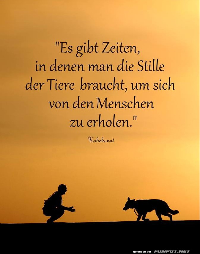 10 schne Sprche und Lebensweisheiten aus...