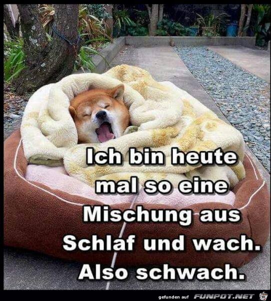 Bin heute mal Bin heute mal