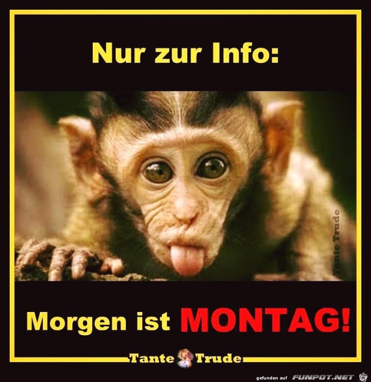 Nur zur Info