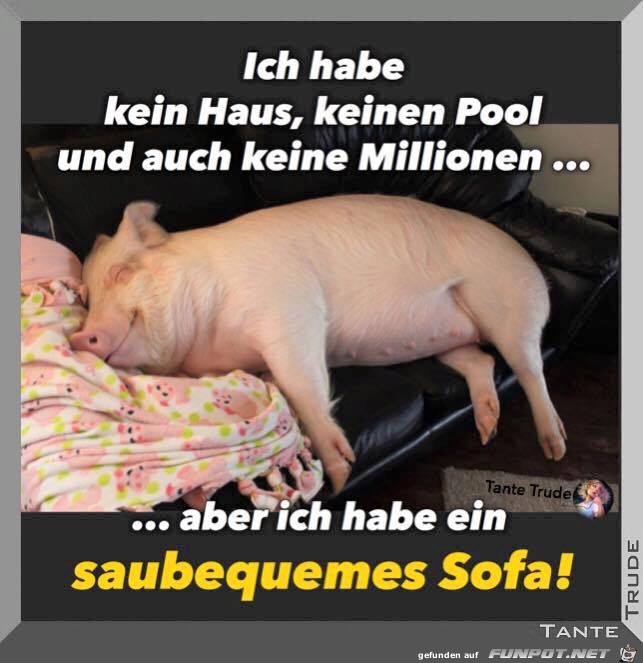 Hab kein Haus - Keinen Pool Hab kein Haus - Keinen Pool