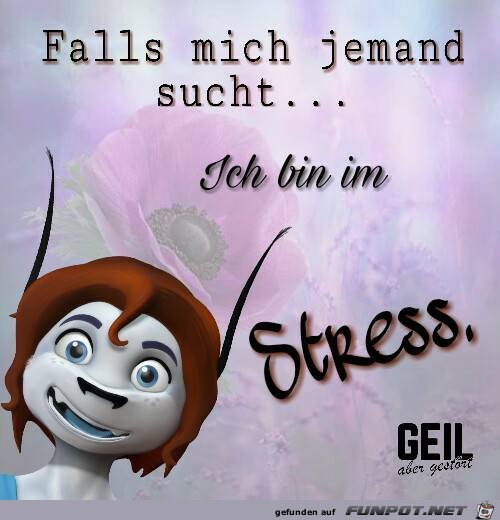 Falls mich jemand sucht