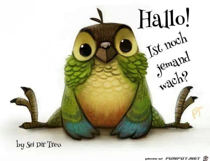 Hallo Hallo