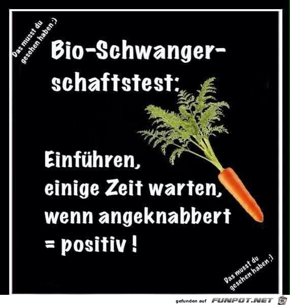 Bio-Schwangerschaftstest Bio-Schwangerschaftstest