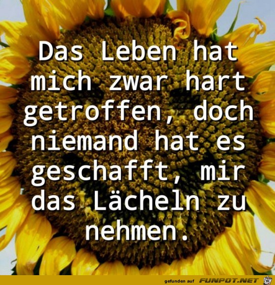 Das Leben