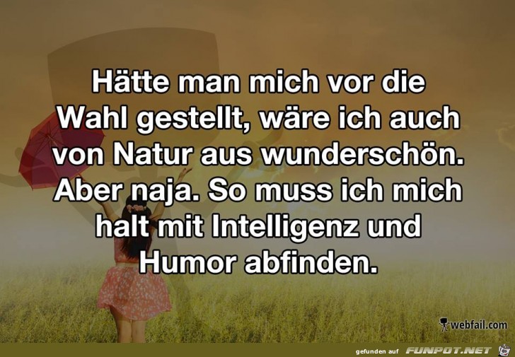 Intelligenz und Humor