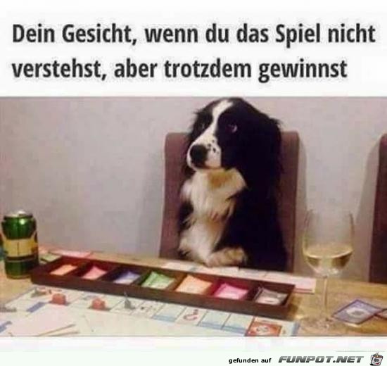 Klasse Gesichtsausdruck Klasse Gesichtsausdruck