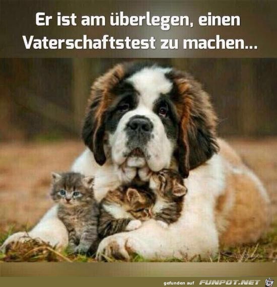 Er überlegt Er überlegt