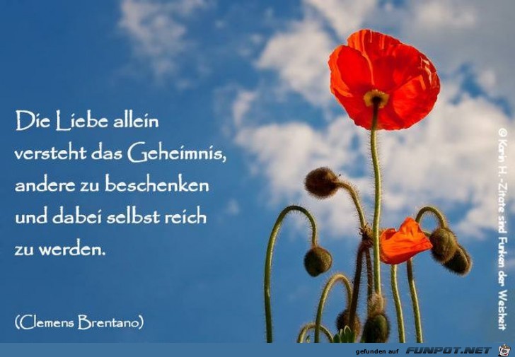 Die Liebe allein