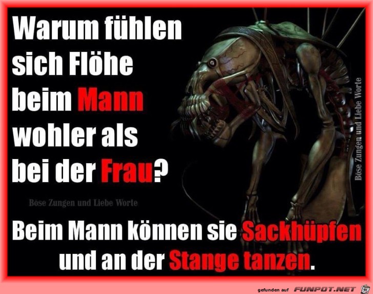 Warum fuehlen sich Floehe bei Maennern wohler Warum fuehlen sich Floehe bei Maennern wohler