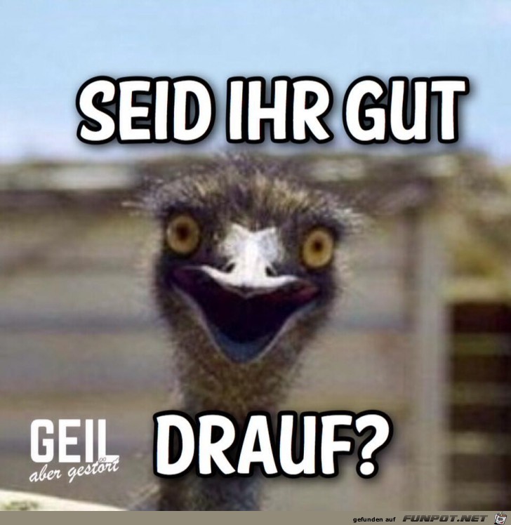 Seid ihr gut drauf