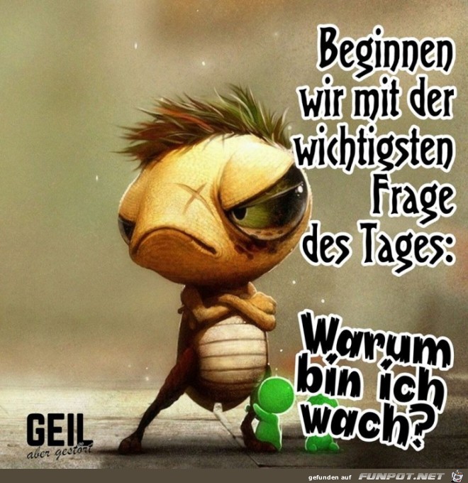 Frage des Tages