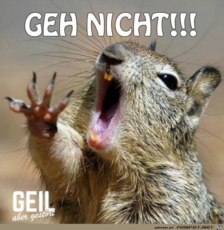 Geh nicht Geh nicht