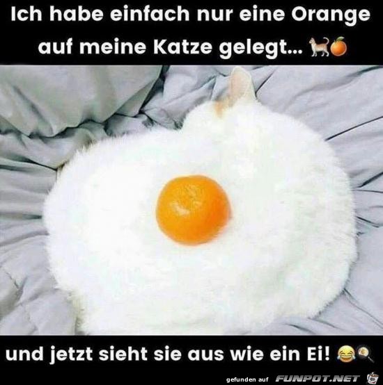 Ein Ei Ein Ei