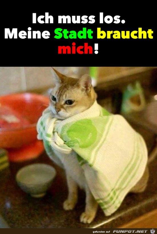 Ich muss los Ich muss los