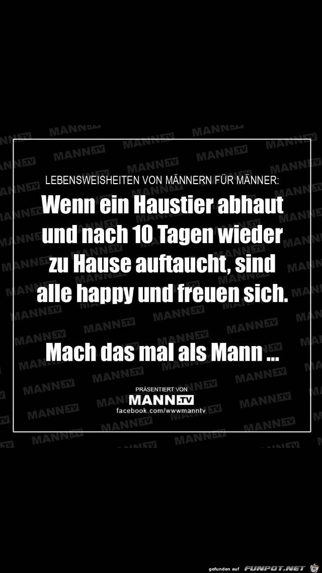 Vergleich Vergleich