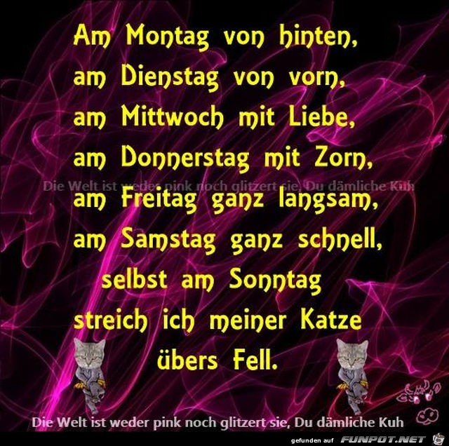 Katzengedicht Katzengedicht