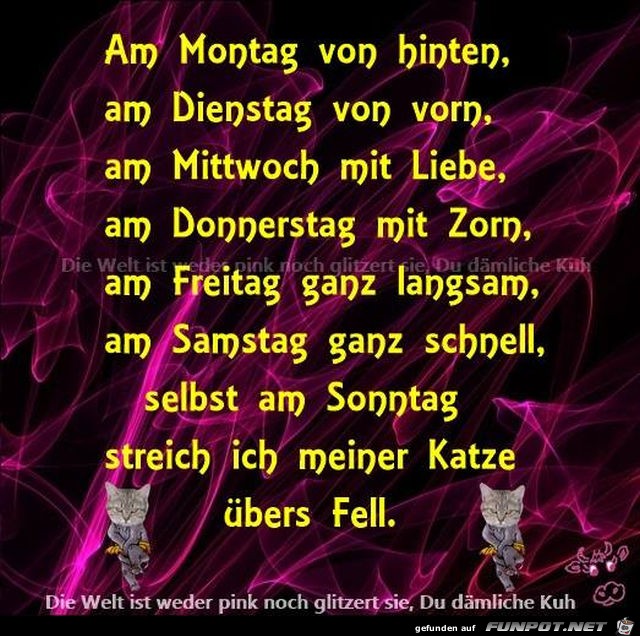 Katzengedicht