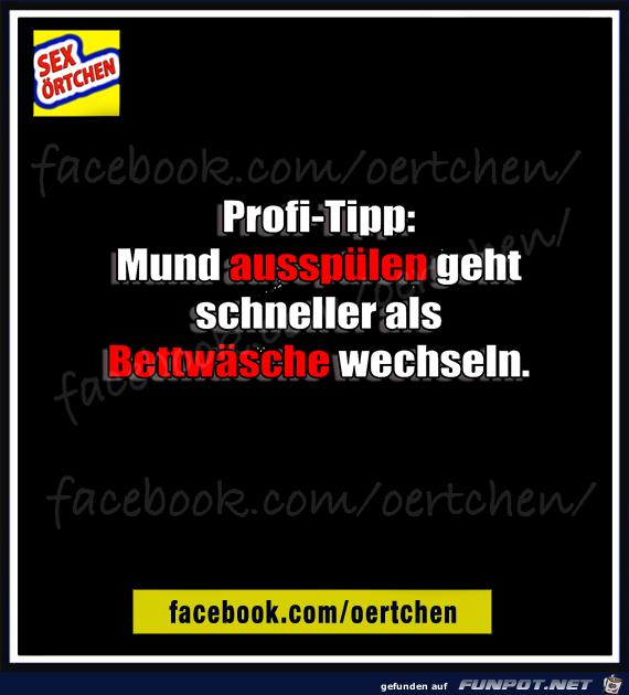 Profi-Tipp Profi-Tipp