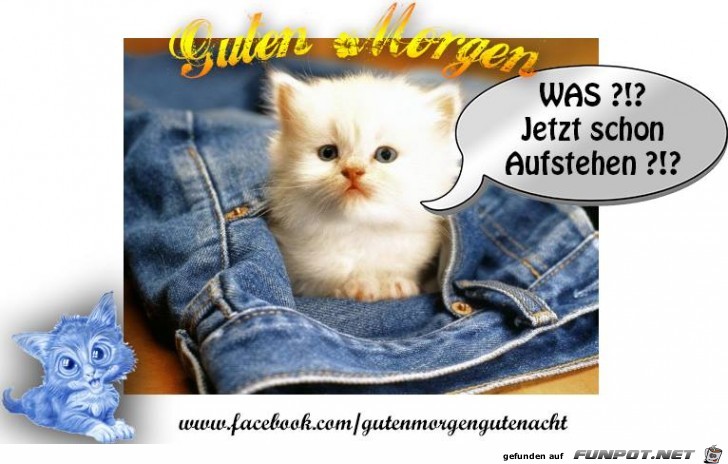 Was jetzt schon aufstehen Was jetzt schon aufstehen