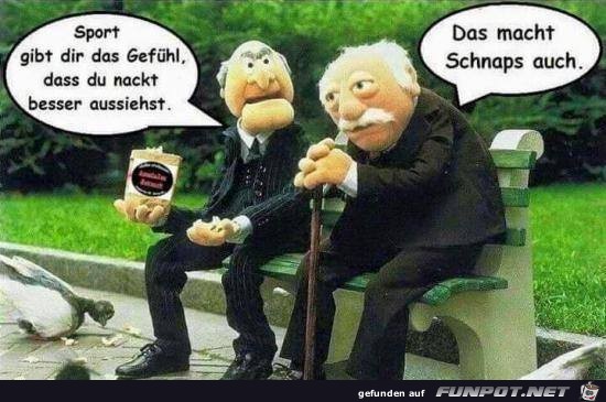 Sport gibt das Gefuehl Sport gibt das Gefuehl