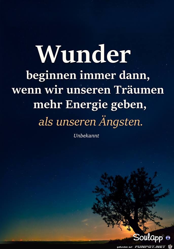 Wunder Wunder