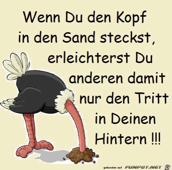 Wenn Du den Kopf Wenn Du den Kopf