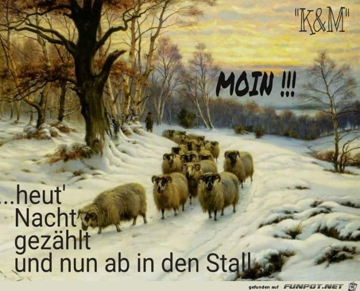 Heute Nacht gezaehlt Heute Nacht gezaehlt