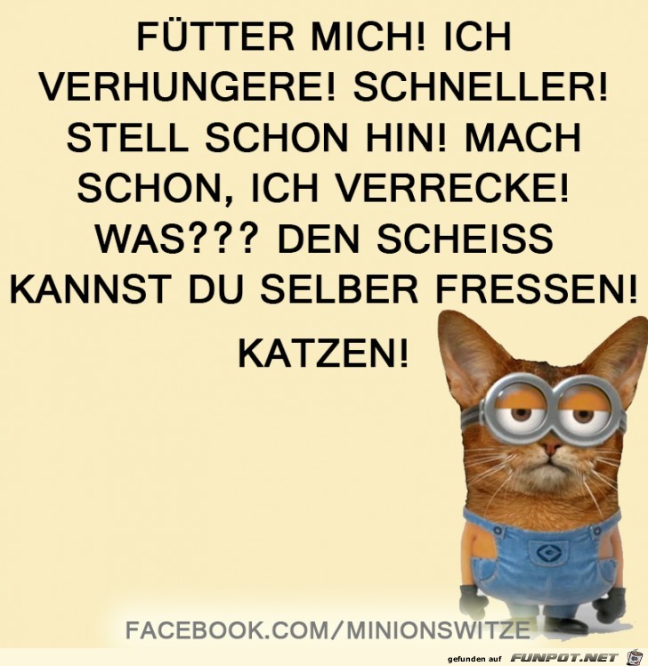 Fuettere mich