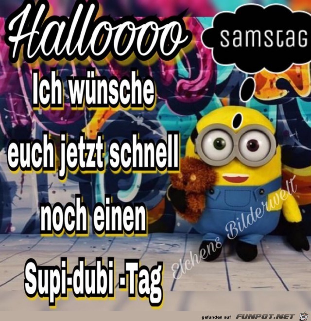 Halloooo Halloooo