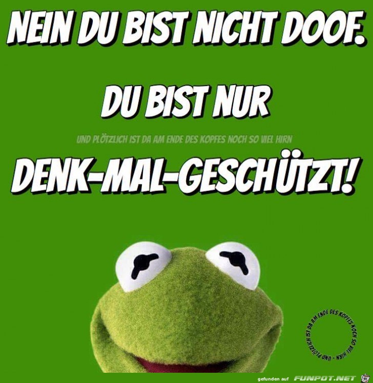 Nein Du bist nicht Doof Nein Du bist nicht Doof
