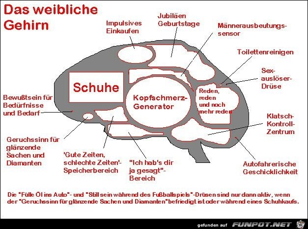 Das Weibliche Gehirn