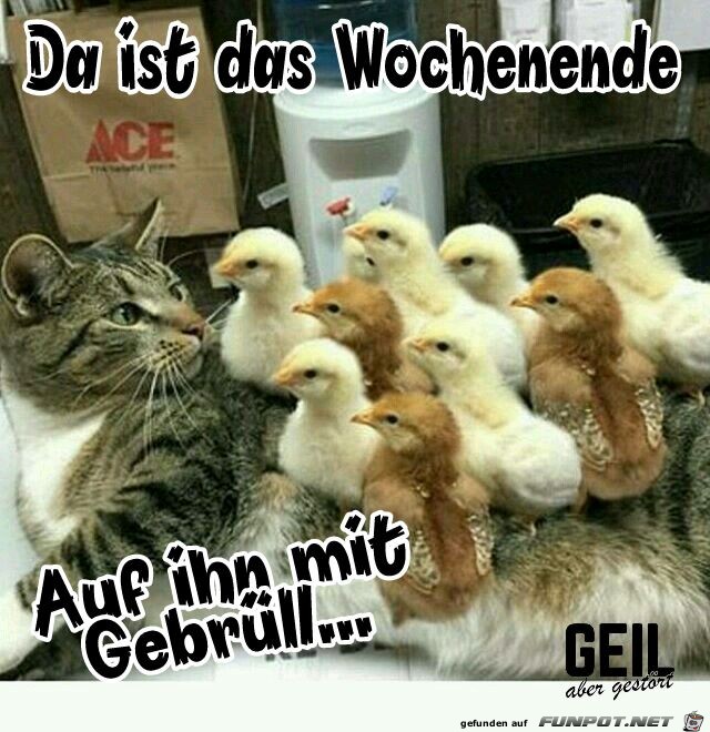 Da ist das Wochenende