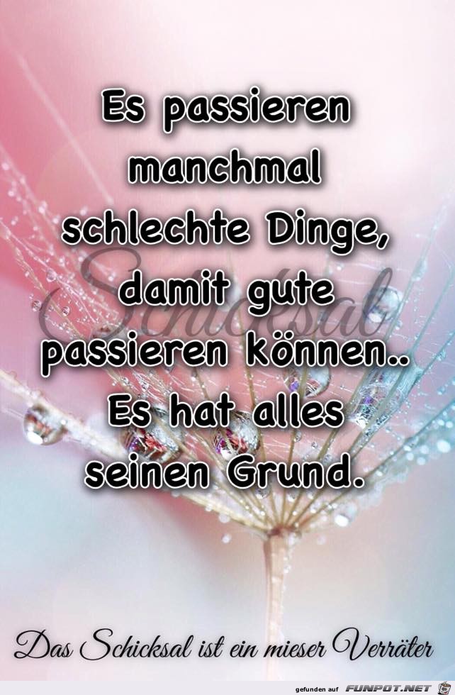 Es hat alles seinen Grund Es hat alles seinen Grund
