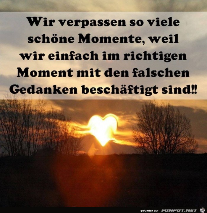 Wir verpassen so viele Wir verpassen so viele