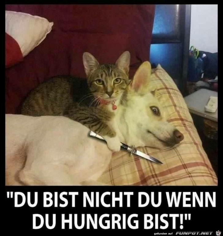 Der Hunger ist mchtig