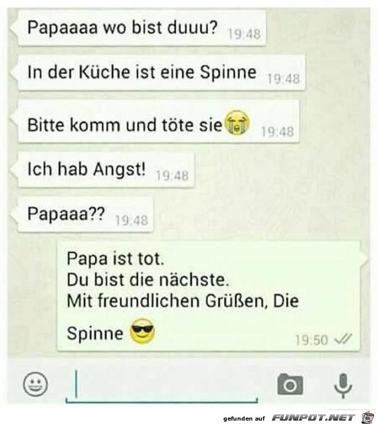 Böse Spinne Böse Spinne