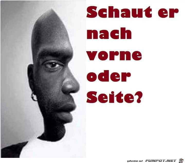 Schaut er nach vorne oder Seite? Schaut er nach vorne oder Seite?