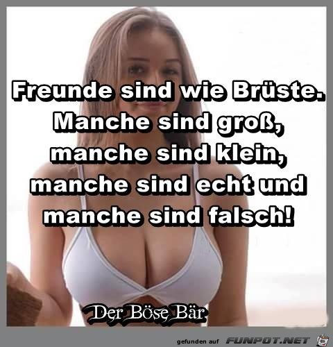 Freunde sind wie Brueste