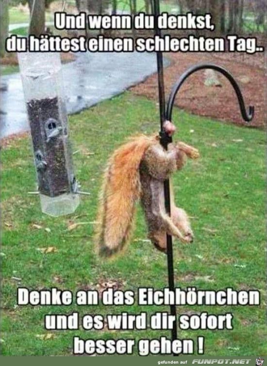 und wenn du denkst.......