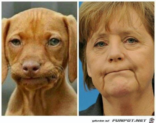 Schnute Schnute