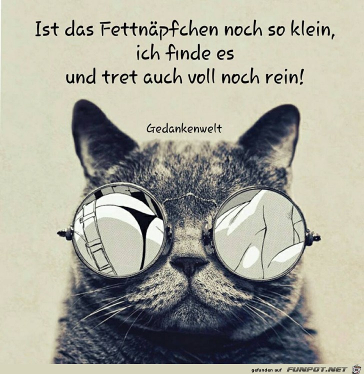 Fettnaepfchen