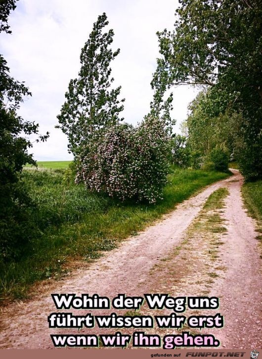 Der Weg