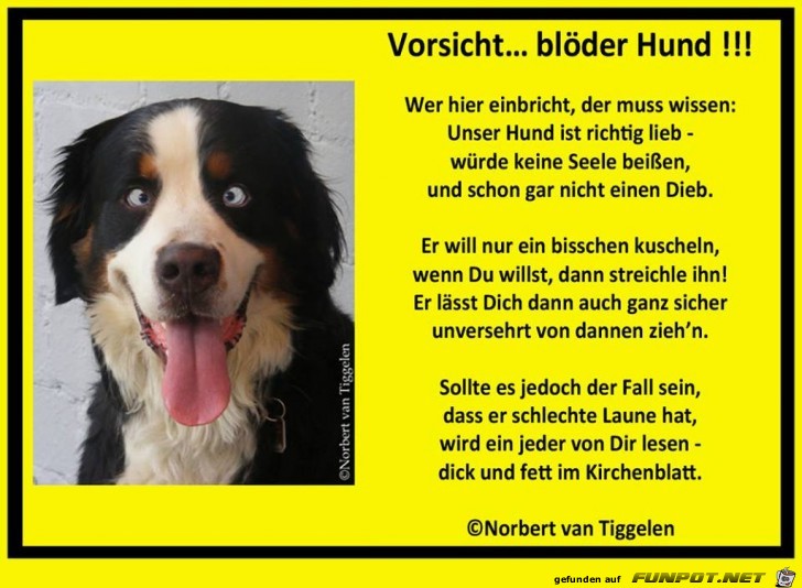 Vorsicht Bloeder Hund