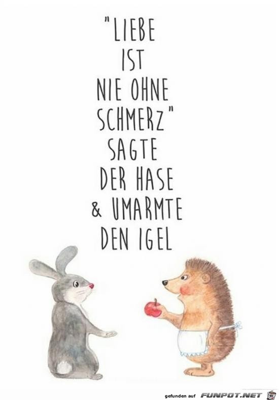 Liebe ist nie ohne Schmerz........