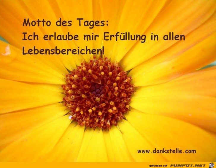 Motto des Tages