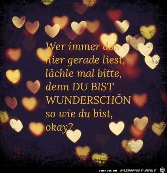 wer immer hier gerade liest...... wer immer hier gerade liest......