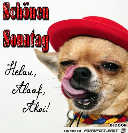 Sonntag Sonntag
