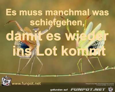 F wie Freude F wie Freude