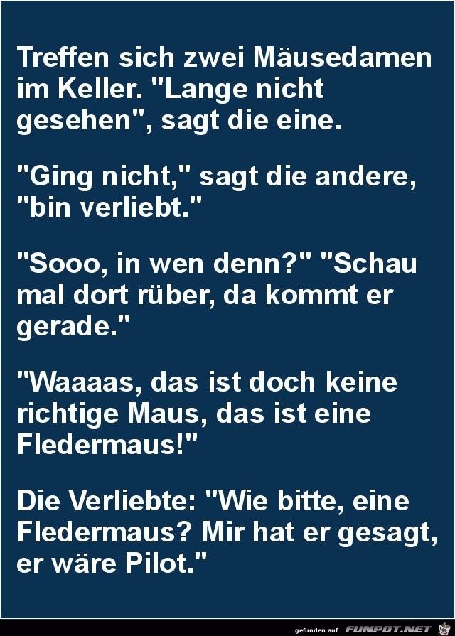Mäusedamen Mäusedamen