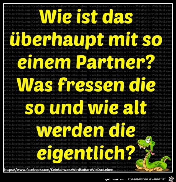Wie ist das ueberhaupt Wie ist das ueberhaupt